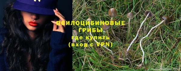 COCAINE Богородицк