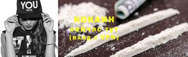 гашик Богданович