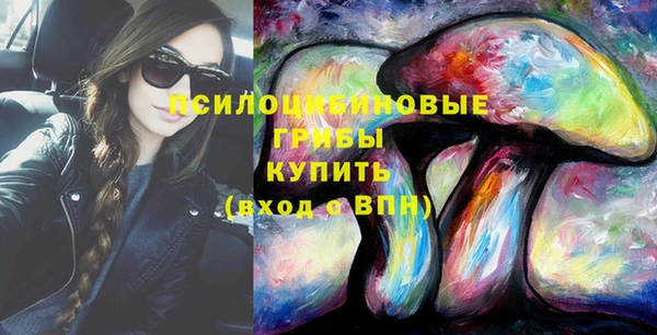 гашик Богданович