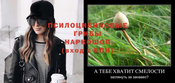 гашик Богданович
