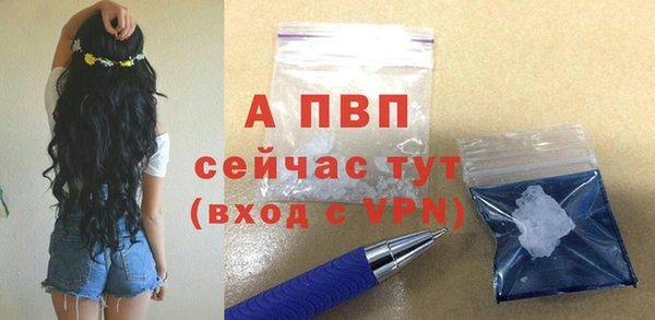 дмт Богородск