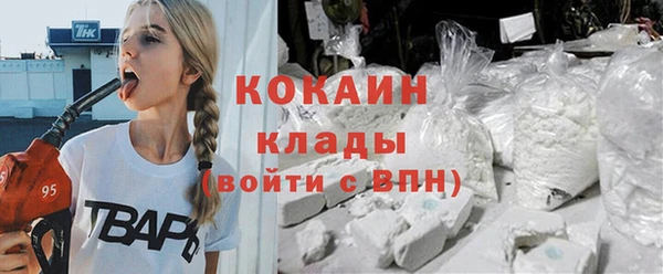 гашик Богданович