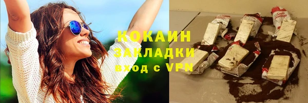 гашик Богданович