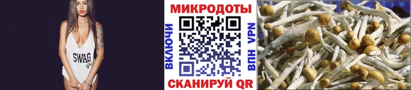 Псилоцибиновые грибы мицелий Боровск