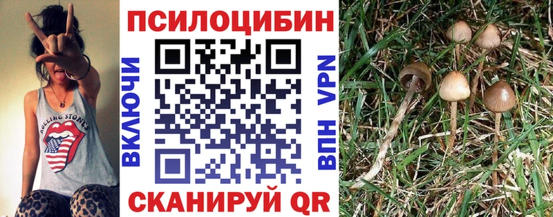 Купить  Боровск  Псилоцибиновые грибы MAGIC MUSHROOMS 